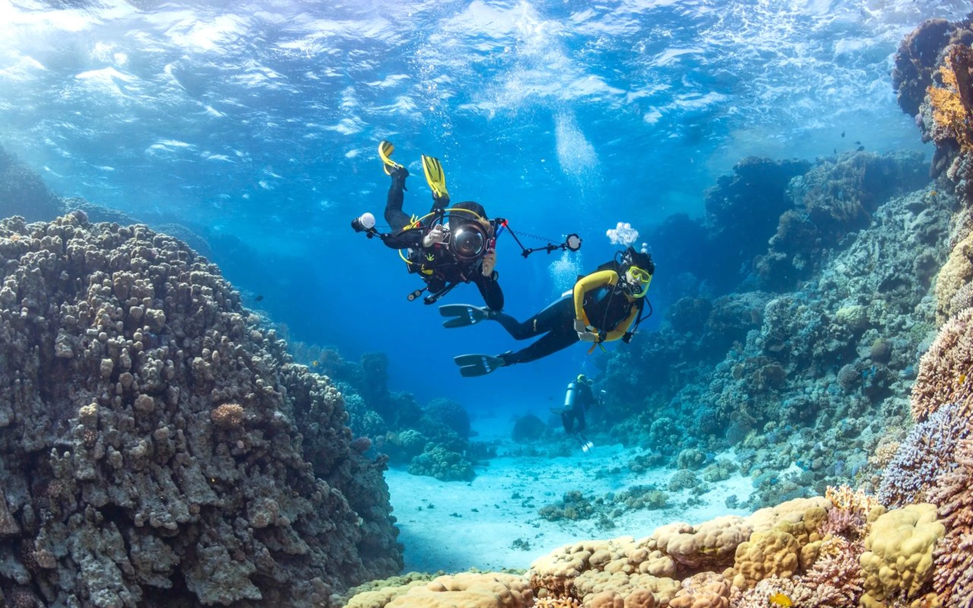 Scuba divers exploring coral reefs in the Red Sea, Hurghada.