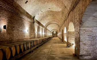 Wine barrels in the historic cellar at Cousiño Macul, Santiago, Chile.
