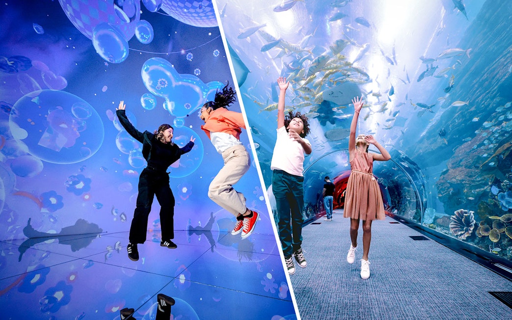 Tourists enjoying interactive exhibits and aquarium tunnel at House of Hype, Dubai.
