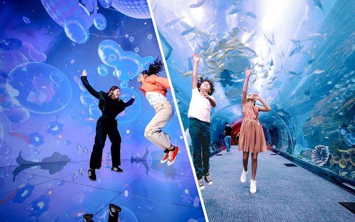 Tourists enjoying interactive exhibits and aquarium tunnel at House of Hype, Dubai.