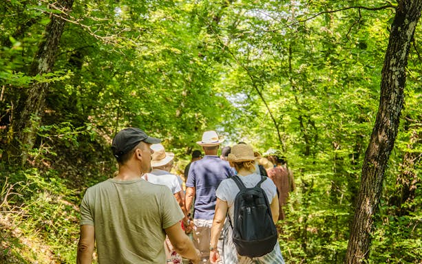 Group walking through a forest on a small group Meteora tour.