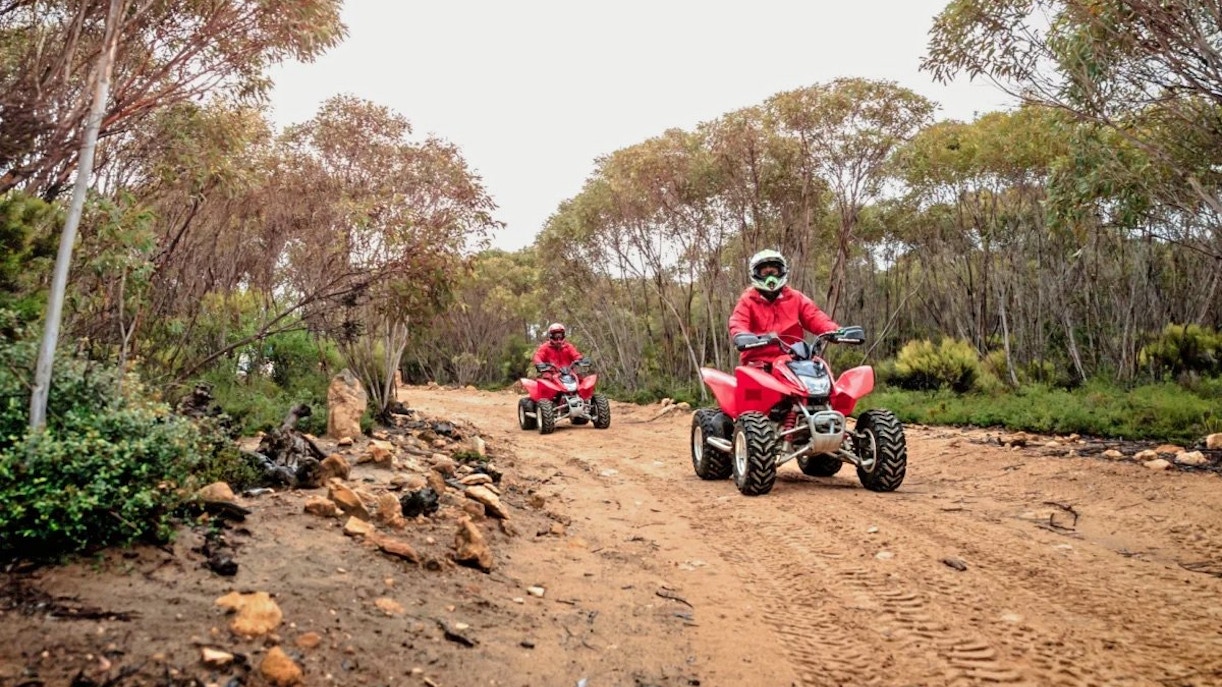 Group riding ATVs through forest trail at Vivonne Bay, Kangaroo Island.
