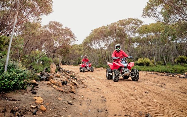 Group riding ATVs through forest trail at Vivonne Bay, Kangaroo Island.