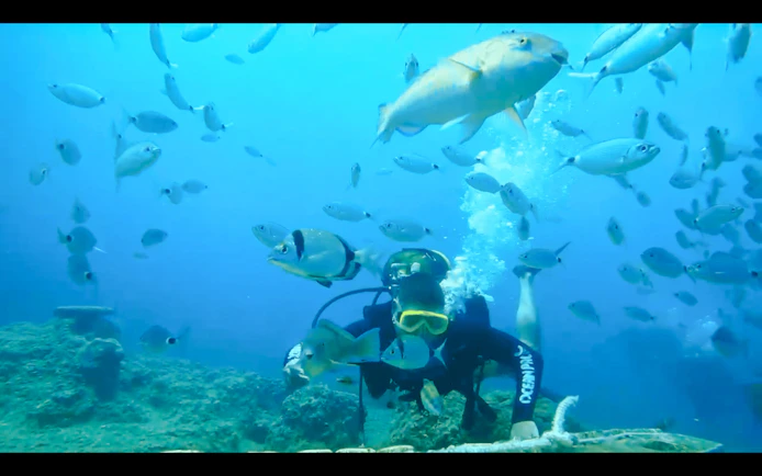 Side Scuba Diving at Side Underwater Museum with Hotel Transfers and Lunch