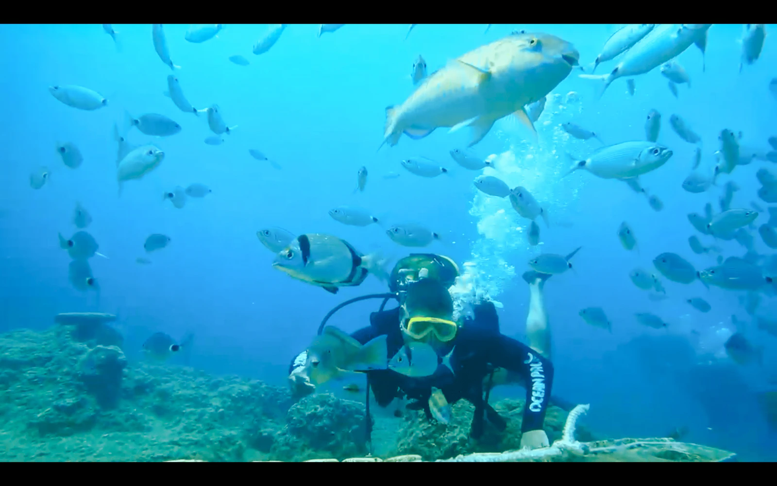 Side Scuba Diving at Side Underwater Museum with Hotel Transfers and Lunch Image 3