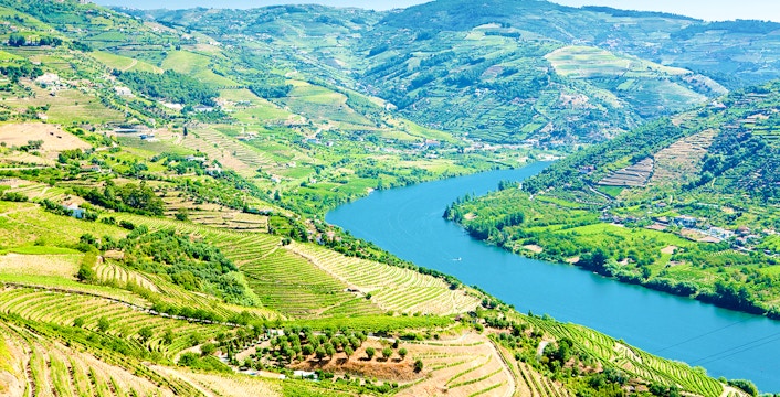 Vineyards and river in Douro Valley, Portugal.
