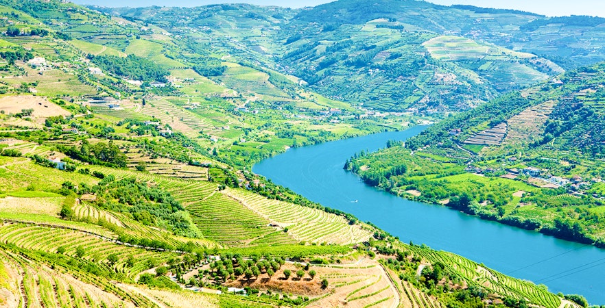 Vineyards and river in Douro Valley, Portugal.