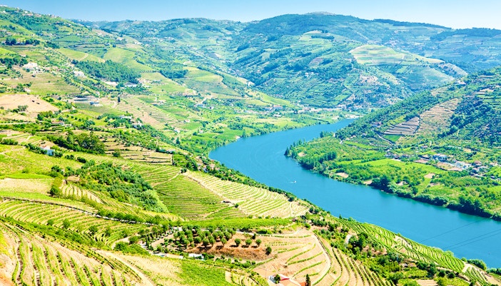 Vineyards and river in Douro Valley, Portugal.