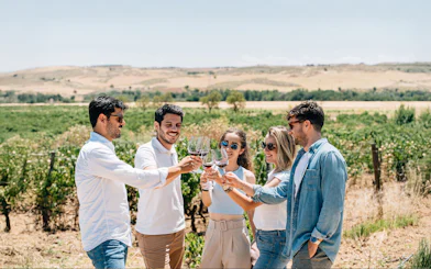 Tourists with guide tasting wine at a vineyard in Toledo.