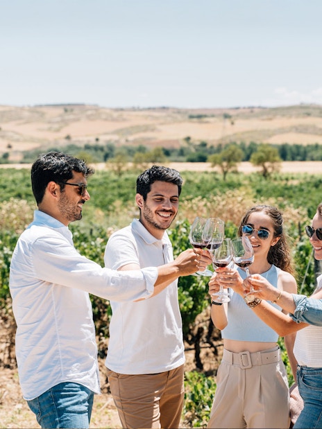 Tourists with guide tasting wine at a vineyard in Toledo.