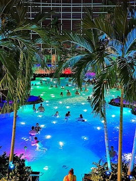 People enjoying a colorful indoor pool at Therme Bucuresti, surrounded by palm trees.