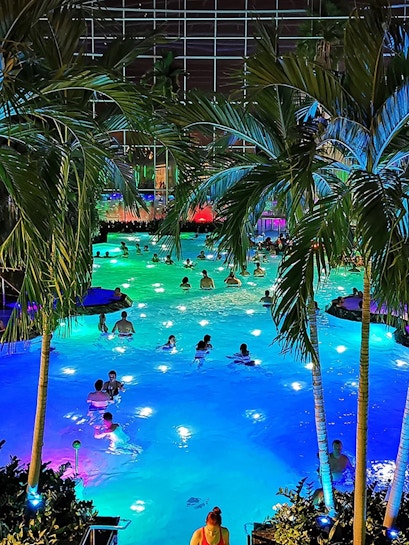 People enjoying a colorful indoor pool at Therme Bucuresti, surrounded by palm trees.