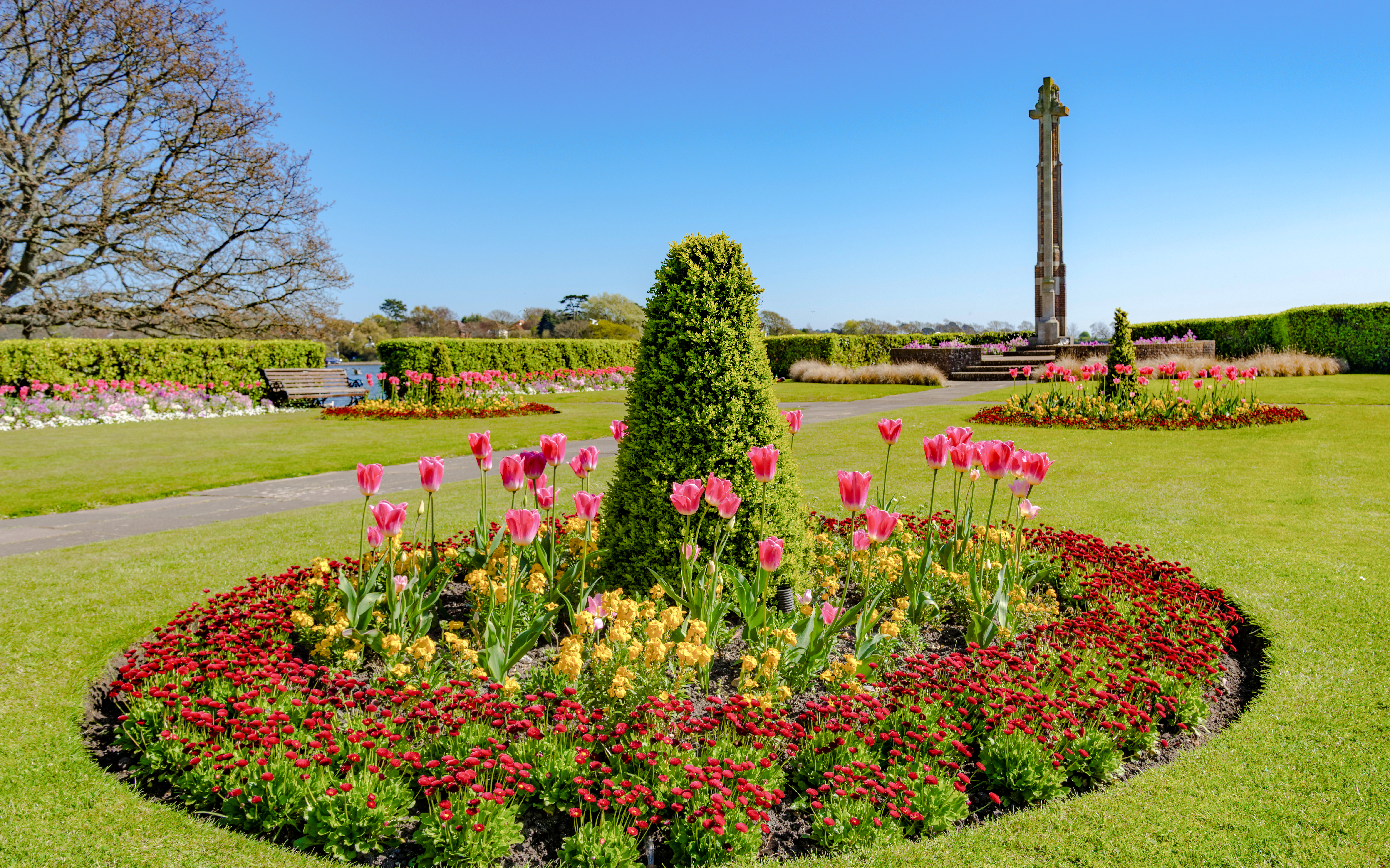 Whitecliff Rekreasyon Alanı