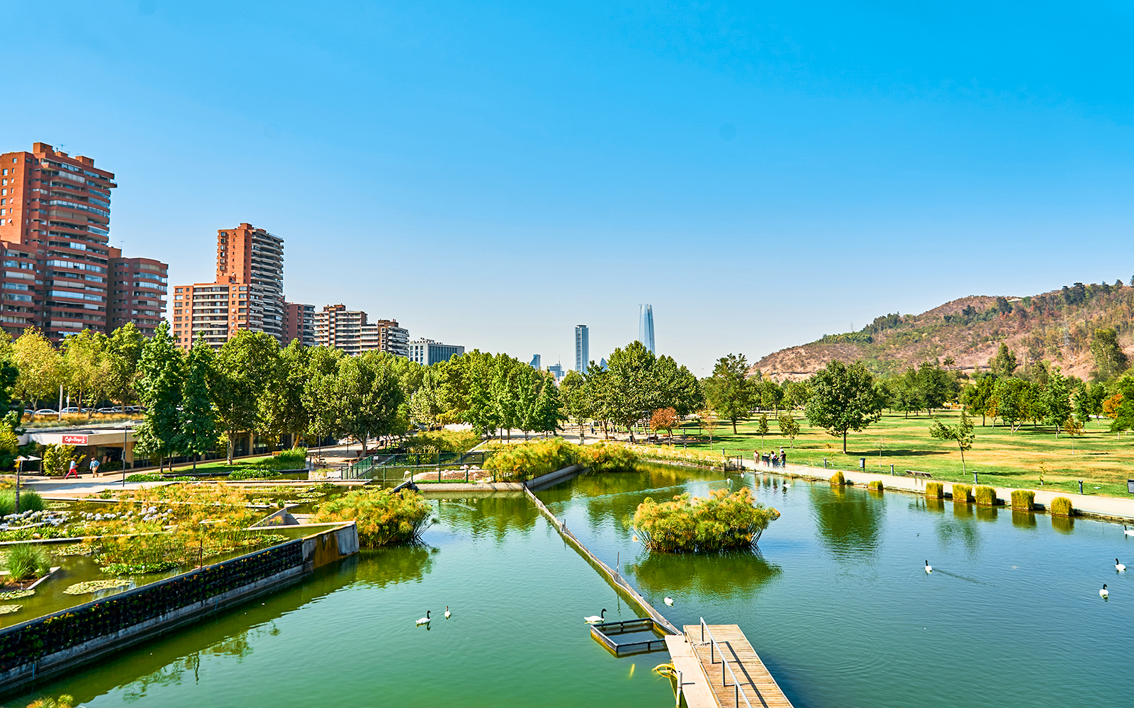 Parque Bicentenario in Chile with pond, trees, and city skyline in the background.