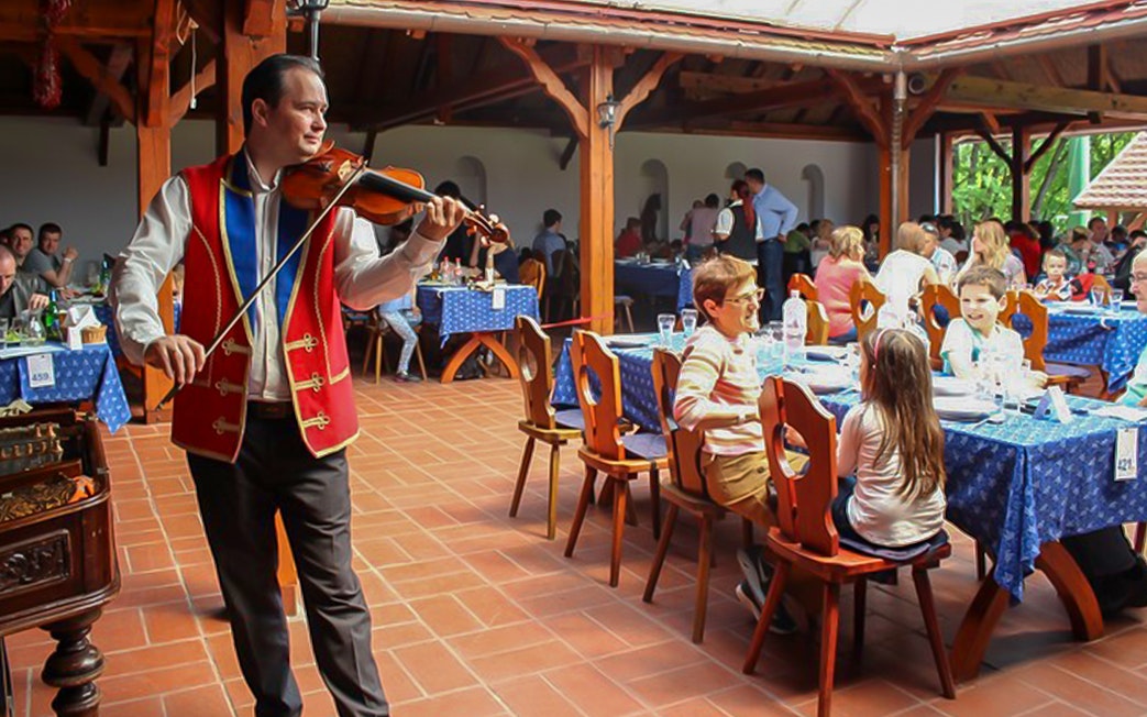 Guests dining with live violin music during Puszta Day Trip to Kecskemét from Budapest.