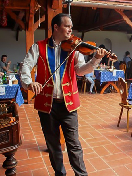 Guests dining with live violin music during Puszta Day Trip to Kecskemét from Budapest.