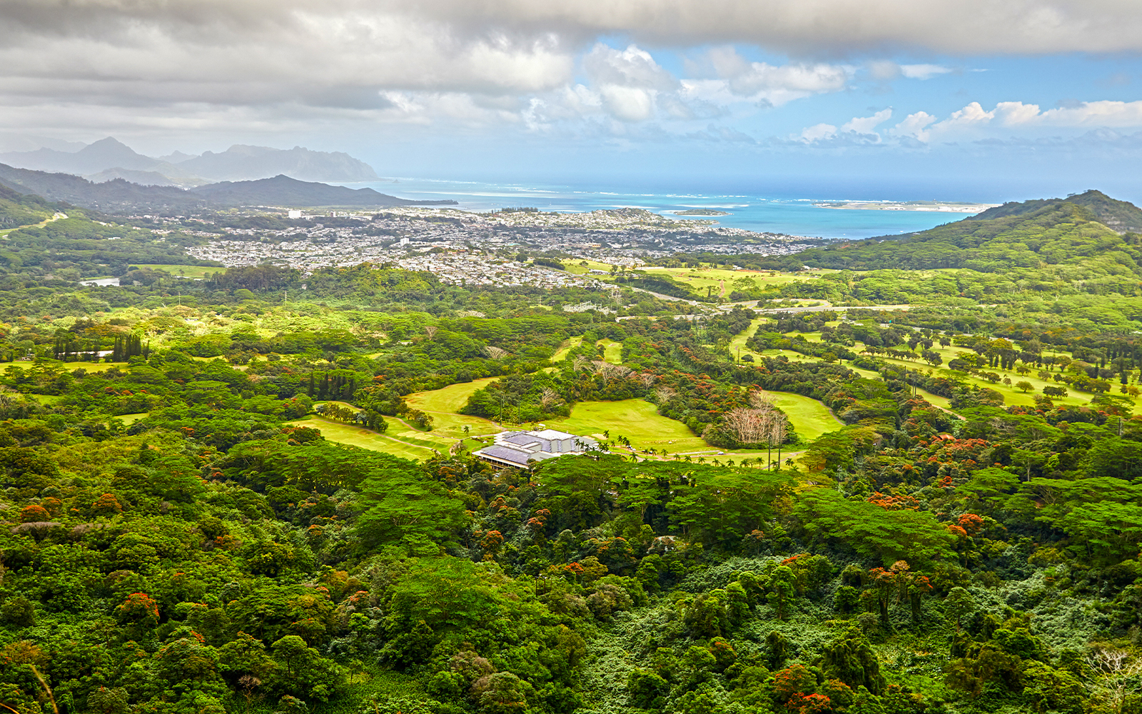 Lush green mountain slope at Pali Lookout, Oahu, Hawaii, overlooking expansive valley and ocean.