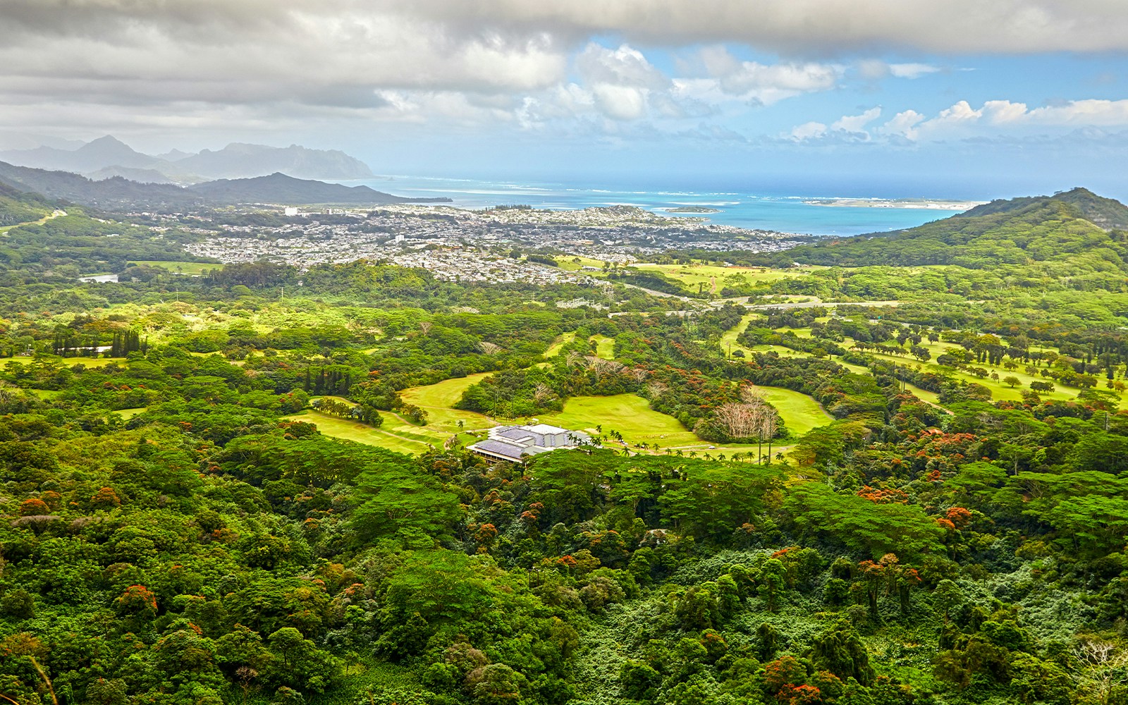 Lush green mountain slope at Pali Lookout, Oahu, Hawaii, overlooking expansive valley and ocean.