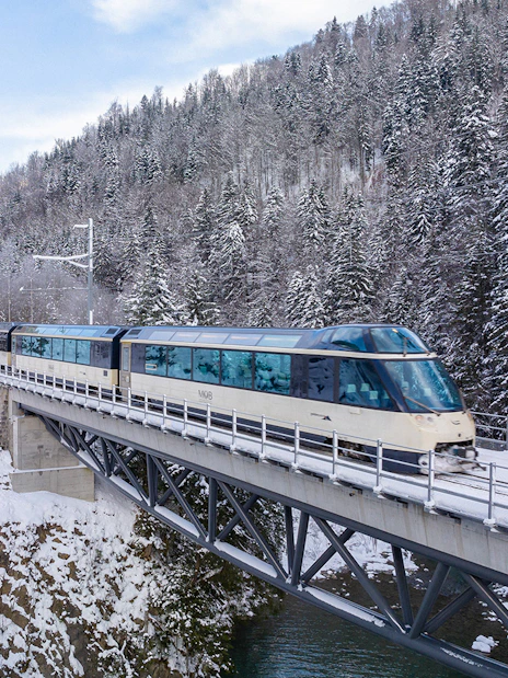 Interrail train crossing snowy bridge in winter forest.