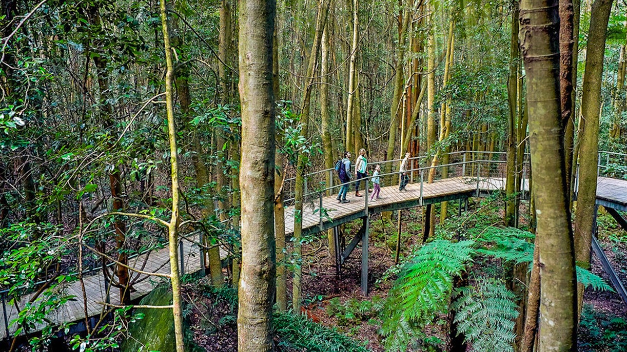 Scenic walkway in the Blue Mountains