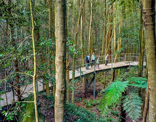 bushwalking paths