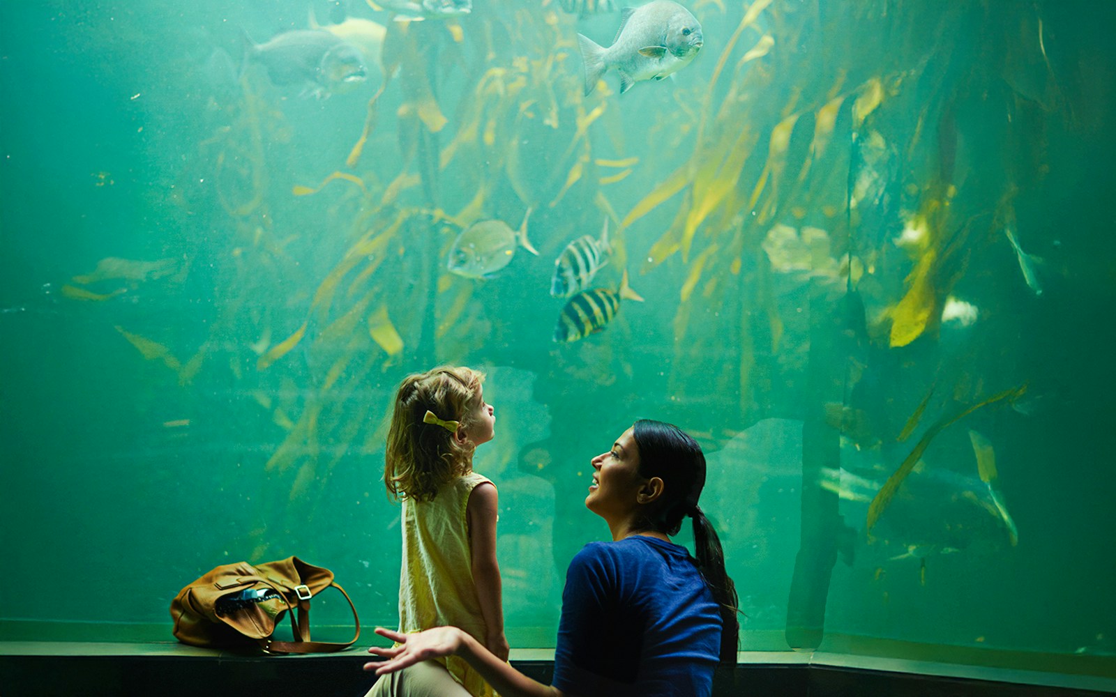 Mother and daughter observing fish at an aquarium exhibit.