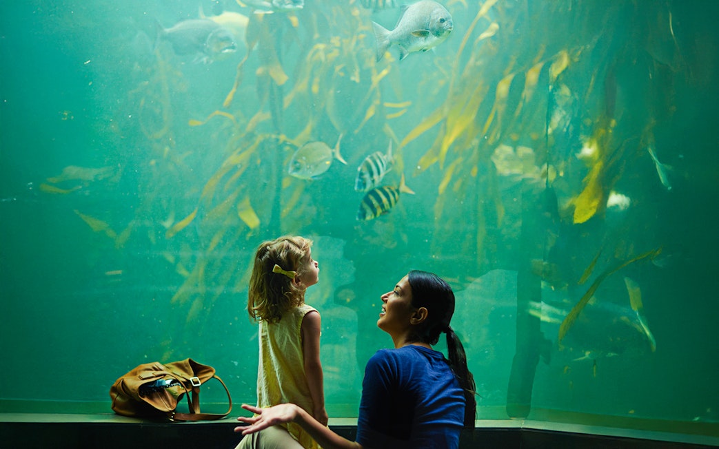 Mother and daughter observing fish at an aquarium exhibit.