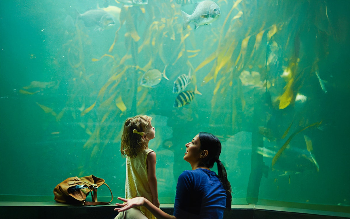 Mother and daughter observing fish at an aquarium exhibit.