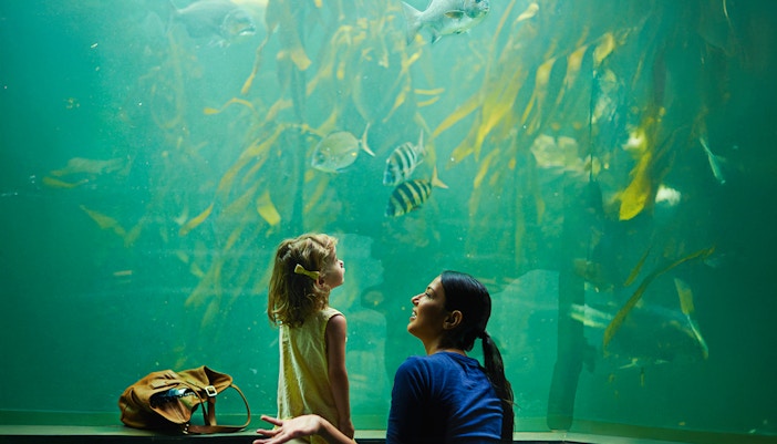 A mother and her daughter at an aquarium