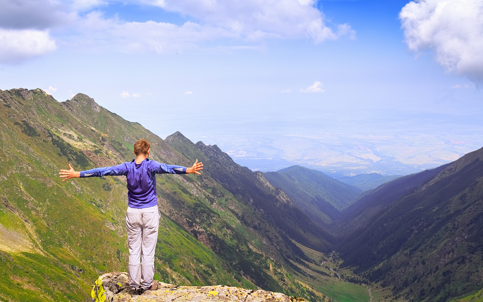 Murg's profile picture