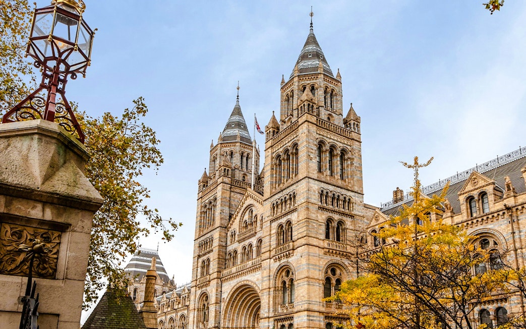 Natural History Museum exterior with twin towers and autumn trees in London.