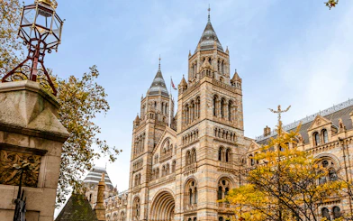 Natural History Museum exterior with twin towers and autumn trees in London.