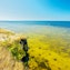 Turisalu