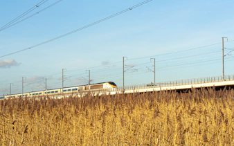 Train traveling through countryside en route to Paris for Eiffel Tower lunch.