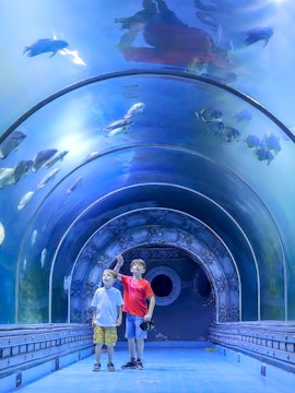 Two boys observing fish in the tunnel at Hurghada Grand Aquarium.