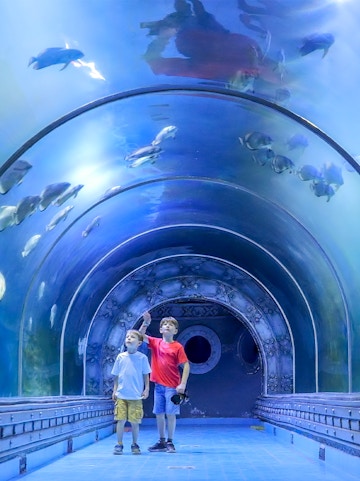 Two boys observing fish in the tunnel at Hurghada Grand Aquarium.