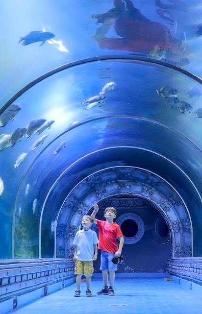 Two boys observing fish in the tunnel at Hurghada Grand Aquarium.
