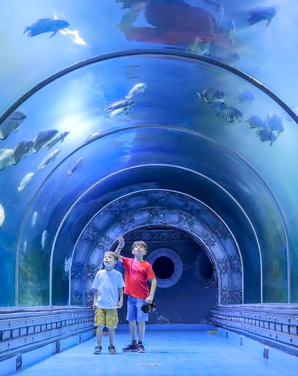 Two boys observing fish in the tunnel at Hurghada Grand Aquarium.