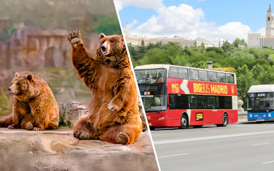 Bears at Madrid Zoo and Big Bus Madrid tour bus on city street.