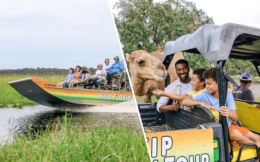 Guests on an airboat tour in the Everglades, Florida\Visitors feeding a camel from a safari vehicle at Drive-Thru Safari Park, Orlando.