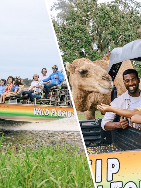 Guests on an airboat tour in the Everglades, Florida\Visitors feeding a camel from a safari vehicle at Drive-Thru Safari Park, Orlando.