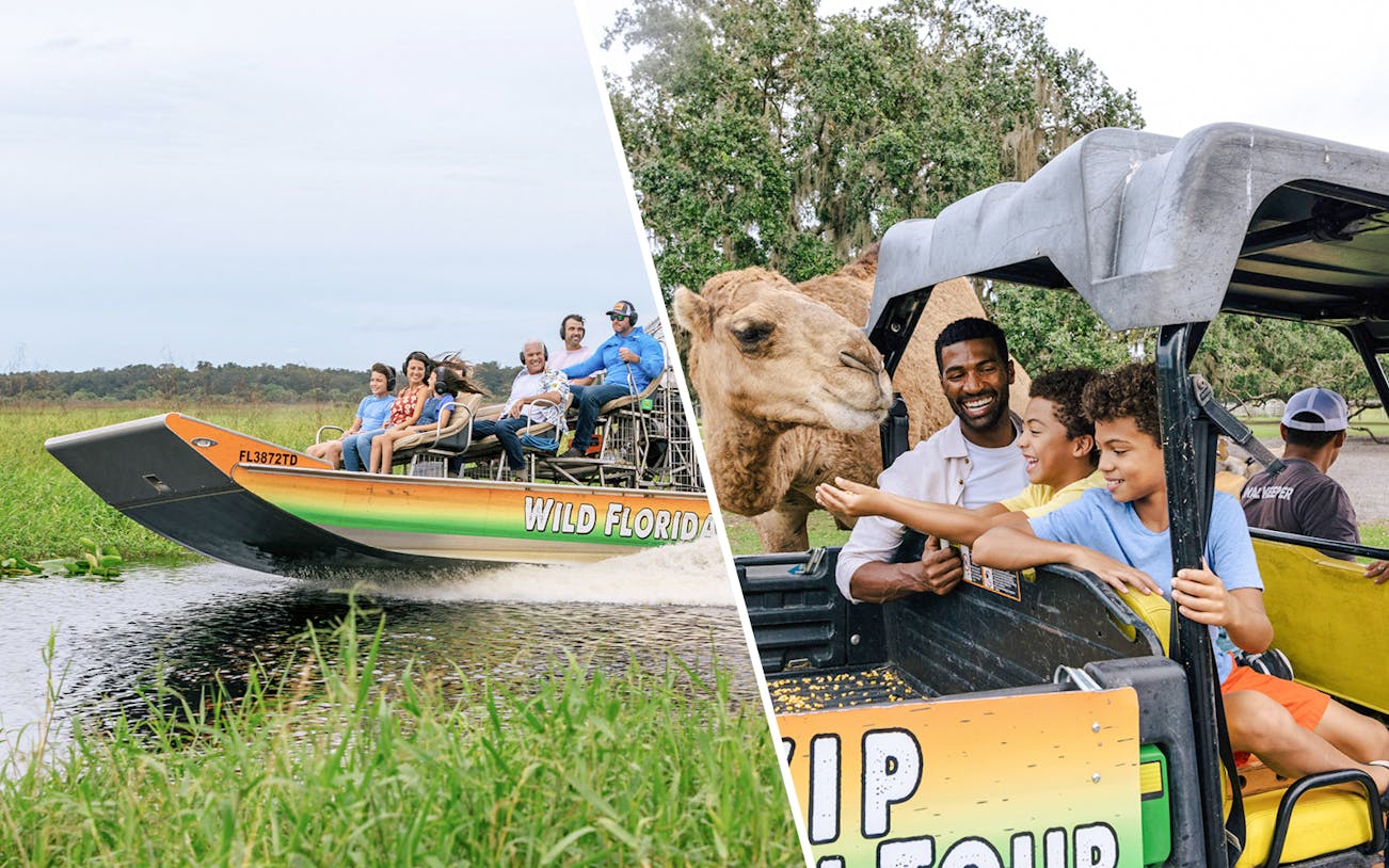 Guests on an airboat tour in the Everglades, Florida\Visitors feeding a camel from a safari vehicle at Drive-Thru Safari Park, Orlando.