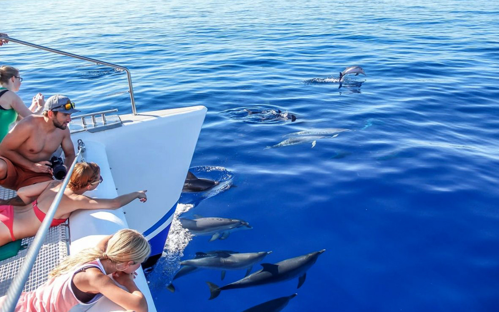 Tourists on a boat watching dolphins in the ocean near Funchal.