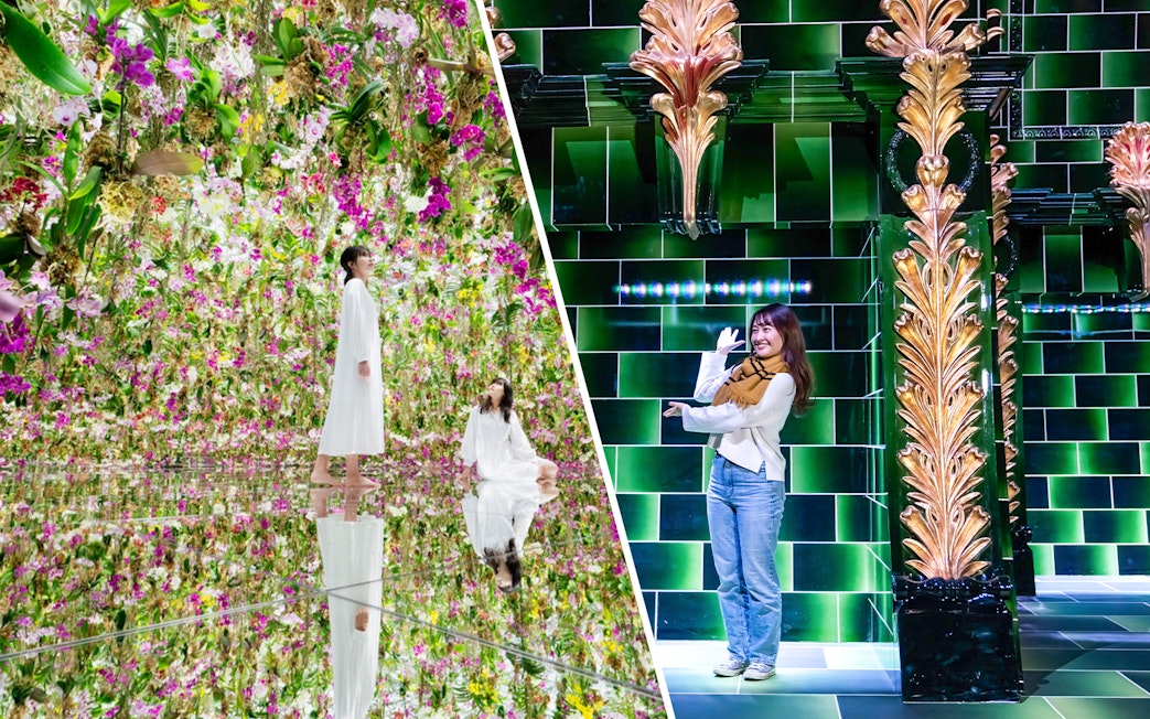 Tourists exploring vibrant floral and digital art installations at TeamLab Tokyo.