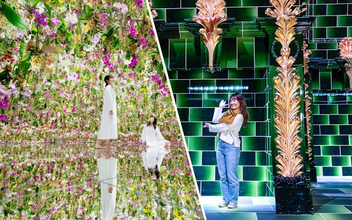 Tourists exploring vibrant floral and digital art installations at TeamLab Tokyo.