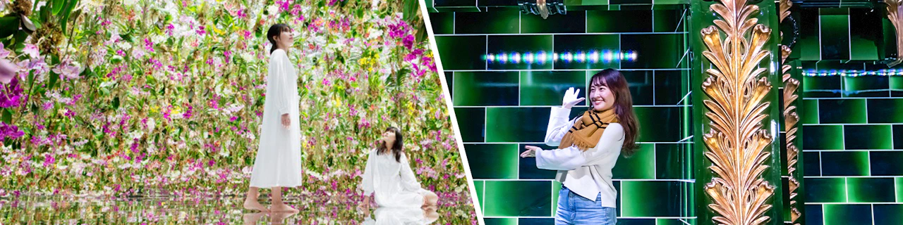 Pacchetto: biglietti per teamlab Planets TOKYO + Warner Bros. Studio Tour Tokyo