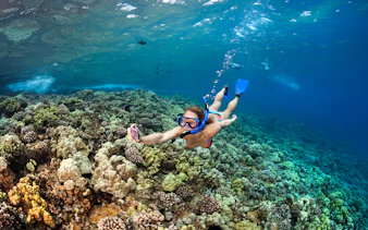 Snorkeler exploring coral reef during sunset whale watching sail in Maui, Hawaii.