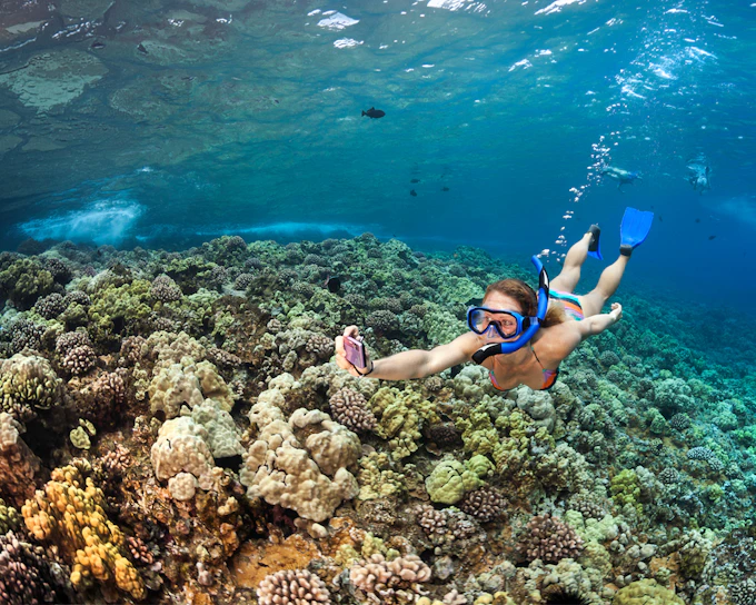 Molokini Crater & Turtle Arches Snorkel by Catamaran or Raft