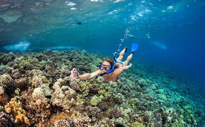 Snorkeler exploring coral reef during sunset whale watching sail in Maui, Hawaii.