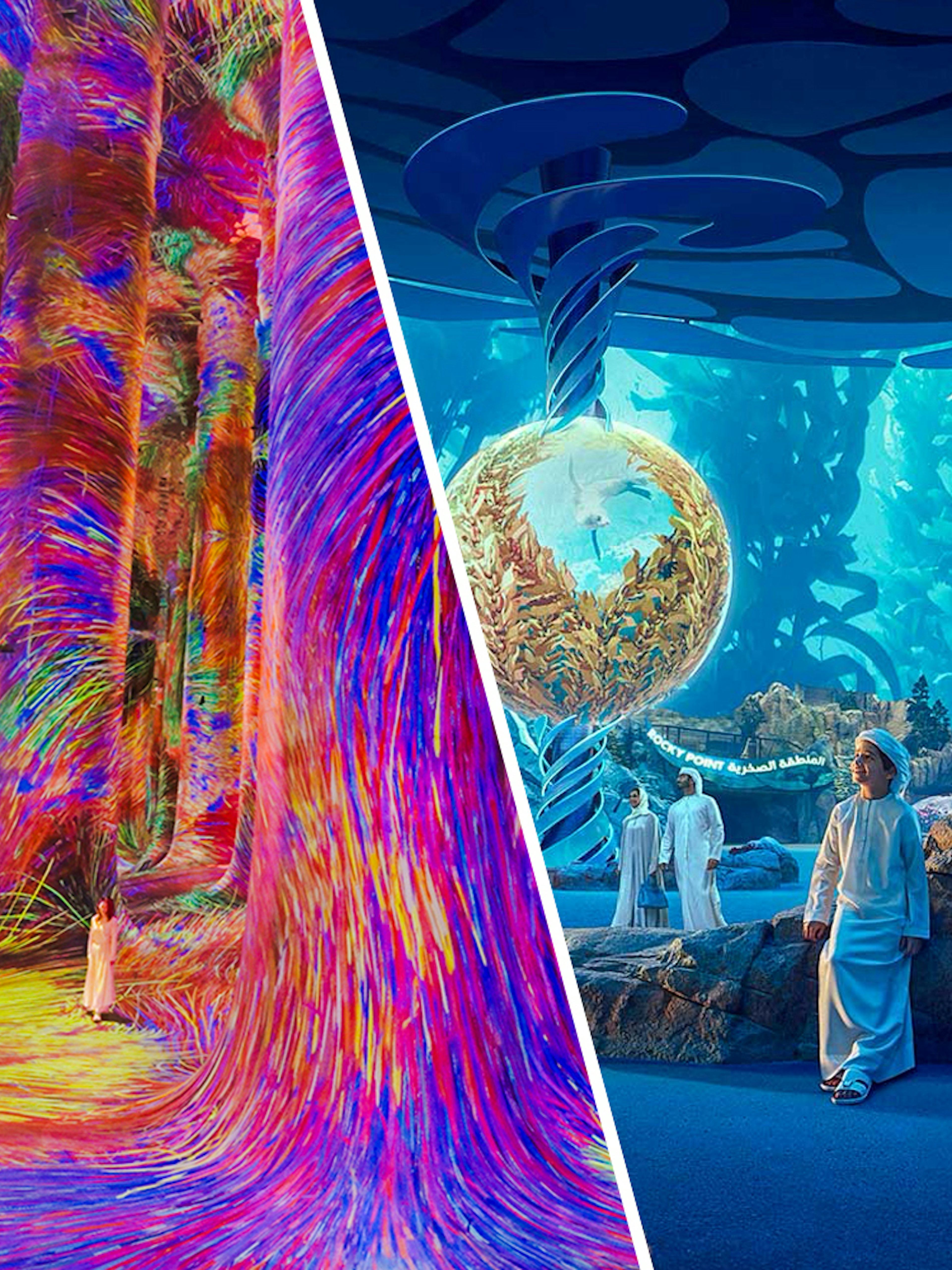 teamLab Phenomena's vibrant digital art and SeaWorld Abu Dhabi's aquatic exhibits.